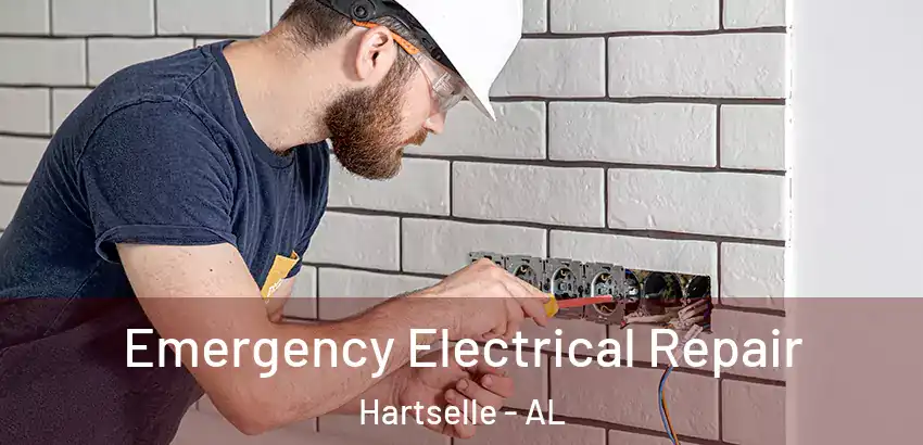 Emergency Electrical Repair Hartselle - AL