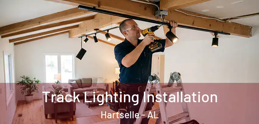 Track Lighting Installation Hartselle - AL